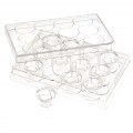CELLTREAT Permeable Cell Culture Inserts, Packed in 12 Well Plate, PC, 8.0µm, Sterile