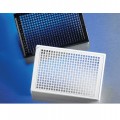 Corning® 384-well Black/Clear Flat Bottom Polystyrene Not Treated Microplate, Low Flange, without Lid, Nonsterile