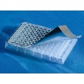Corning® 96-well Microplate Aluminum Sealing Tape, Nonsterile, 100/cs