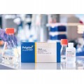 Polyplus-transfection PEIpro® DNA Transfection Reagent for Virus Production